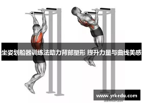 坐姿划船器训练法助力背部塑形 提升力量与曲线美感