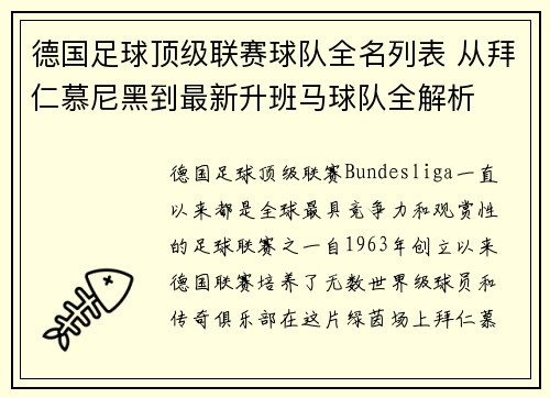 德国足球顶级联赛球队全名列表 从拜仁慕尼黑到最新升班马球队全解析