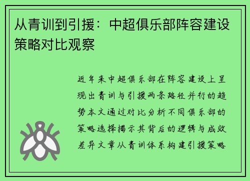 从青训到引援：中超俱乐部阵容建设策略对比观察